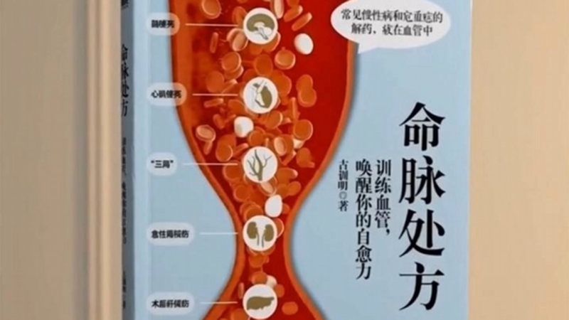 《命脉处方》系列